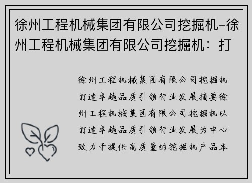 徐州工程机械集团有限公司挖掘机-徐州工程机械集团有限公司挖掘机：打造卓越品质，引领行业发展